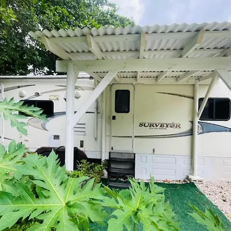 Rv In The Little Jungle By Legnalife Hotel